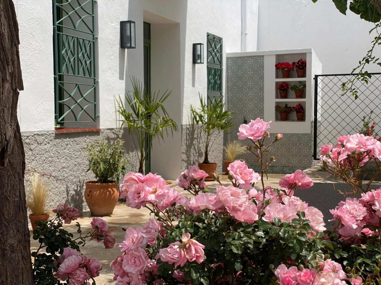 Hotel Les Filles Deltebre Exterior foto